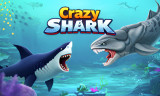 Crazy Shark background