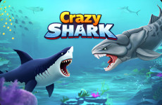 Crazy Shark img
