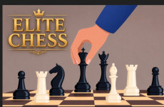 Elite Chess img