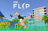 Mr Flip img