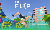 Mr Flip background