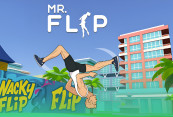 Mr Flip img