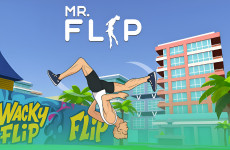 Mr Flip img