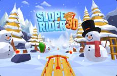 Slope Rider 3D img