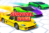Survival Race img