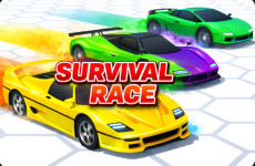 Survival Race img